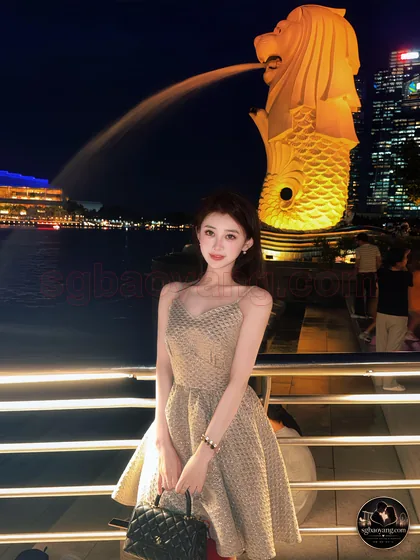 鱼尾狮夜景 · Merlion Park