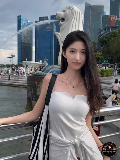 鱼尾狮 · CBD 天际线