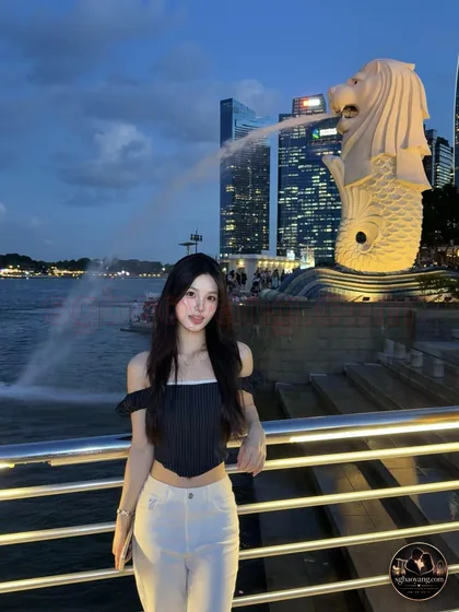 鱼尾狮夜景 · Merlion Park